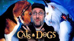 Cats and Dogs