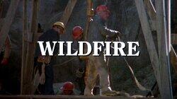 Wildfire