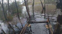 Episode 11 Episode 11