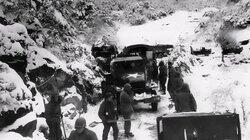 14 January 1951