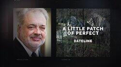 A Little Patch of Perfect (aka: Killing Big Daddy) A Little Patch of Perfect (aka: Killing Big Daddy)