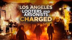 Los Angeles Looters and Arsonists Charged Los Angeles Looters and Arsonists Charged