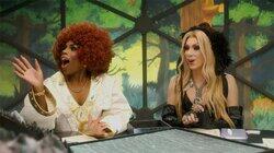 Princess and the Paramours Princess and the Paramours