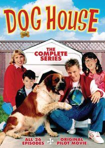 Dog House Dog House