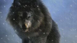 Revenge of the Monster Wolf Revenge of the Monster Wolf