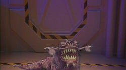 Polymorph Polymorph