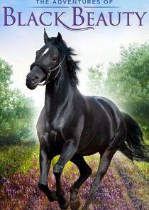 The Adventures of Black Beauty The Adventures of Black Beauty