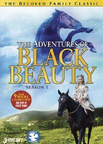 The Adventures of Black Beauty - Season 1 The Adventures of Black Beauty - Season 1