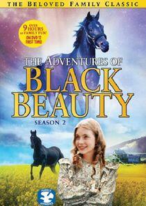 The Adventures of Black Beauty - Season 2 The Adventures of Black Beauty - Season 2