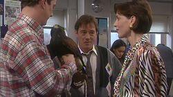 The Bird of Doom The Bird of Doom