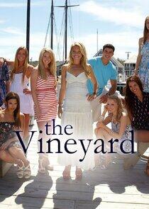 The Vineyard The Vineyard
