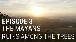 The Mayans - Ruins Among the Trees The Mayans - Ruins Among the Trees