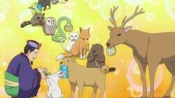 Onki / Animals Don't Forget One's Kindness Onki / Animals Don't Forget One's Kindness