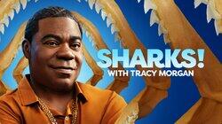 Sharks! with Tracy Morgan Sharks! with Tracy Morgan