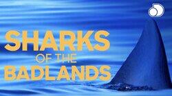 Sharks of the Badlands Sharks of the Badlands