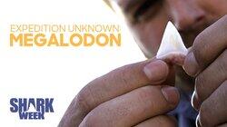 Expedition Unknown: Megalodon Expedition Unknown: Megalodon