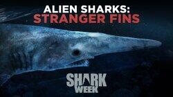 Alien Sharks: Stranger Fins Alien Sharks: Stranger Fins