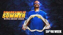 Sharkadelic Summer Sharkadelic Summer