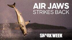 Air Jaws Strikes Back Air Jaws Strikes Back