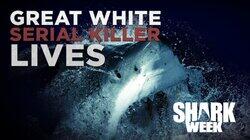 Great White Serial Killer Lives Great White Serial Killer Lives