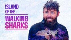 Island of the Walking Sharks Island of the Walking Sharks
