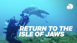 Return to the Isle of Jaws Return to the Isle of Jaws