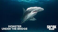 Monster Under the Bridge Monster Under the Bridge
