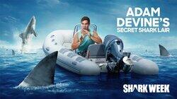 Adam Devine's Secret Shark Lair Adam Devine's Secret Shark Lair