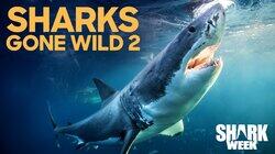 Sharks Gone Wild 2 Sharks Gone Wild 2