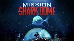 Mission Shark Dome Mission Shark Dome