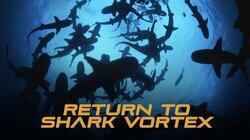 Return to Shark Vortex Return to Shark Vortex