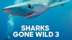 Sharks Gone Wild 3 Sharks Gone Wild 3