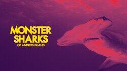 Monster Sharks of Andros Island Monster Sharks of Andros Island