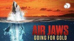 Air Jaws: Going for Gold Air Jaws: Going for Gold