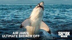 Air Jaws: Ultimate Breach Off Air Jaws: Ultimate Breach Off