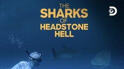 The Sharks of Headstone Hell The Sharks of Headstone Hell