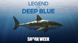 Legend of Deep Blue Legend of Deep Blue