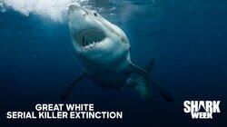 Great White Serial Killer Extinction Great White Serial Killer Extinction