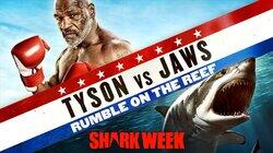 Tyson vs Jaws: Rumble on the Reef Tyson vs Jaws: Rumble on the Reef
