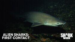 Alien Sharks: First Contact Alien Sharks: First Contact