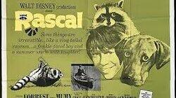 Rascal (1) Rascal (1)
