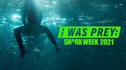 I Was Prey: Shark Week 2021 I Was Prey: Shark Week 2021