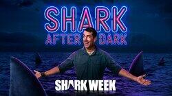 Shark After Dark Shark After Dark