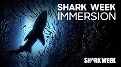 Shark Week Immersion Shark Week Immersion