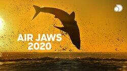 Air Jaws 2020 Air Jaws 2020