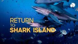 Return to Shark Island Return to Shark Island