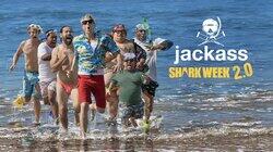 Jackass Shark Week 2.0 Jackass Shark Week 2.0
