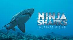 Ninja Sharks: Mutants Rising Ninja Sharks: Mutants Rising