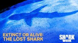 Extinct or Alive: The Lost Shark Extinct or Alive: The Lost Shark