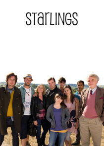 Starlings Starlings